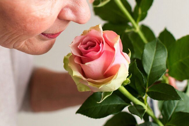 A diminished sense of smell may be linked to several neurological disorders.