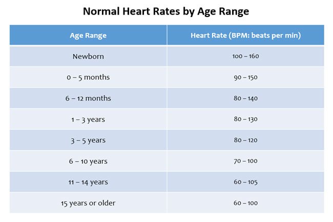 Normal heart rates will differ from person to person based on these factors.