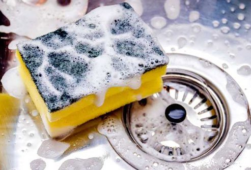 It does not take long for sponges to become a hotbed of bacteria.