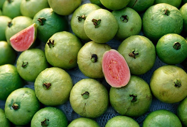 who should not eat guava