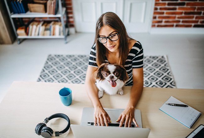 home remedies kennel cough