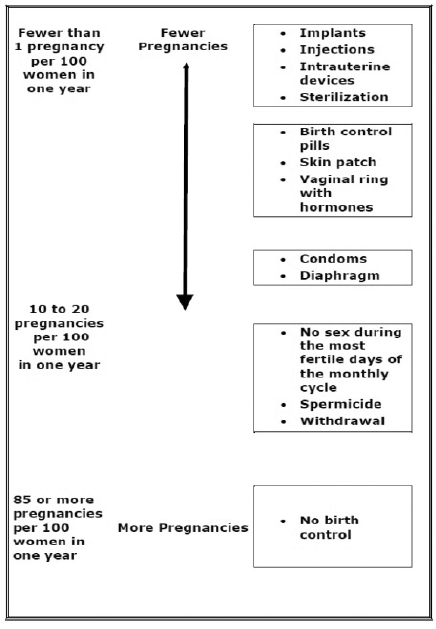 Flow Chart - Illustration