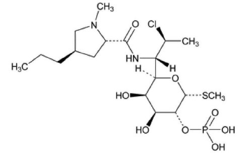 XACIATO™ (clindamycin phosphate) Structural Formula - Illustration