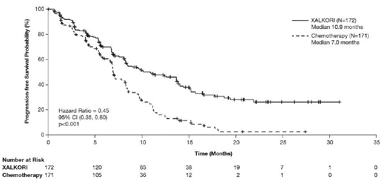 Kaplan-Meier Curves of Progression-Free Survival as Assessed by IRR in Study 1 - Illustration