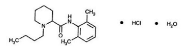 XARACOLL® (bupivacaine hydrochloride) Structural Formula - Illustration