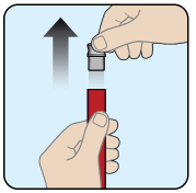 Hold the red protective case upright and remove gray cap - Illustration