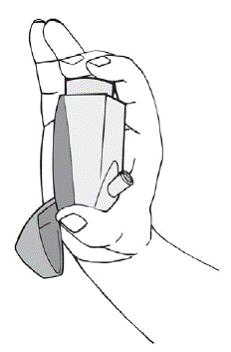 Holding the nasal actuator - Illustration