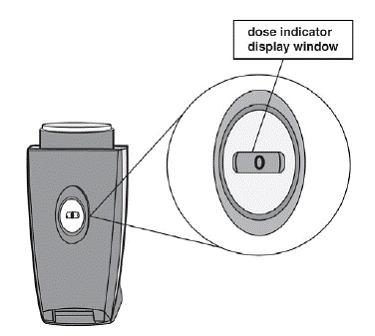 Dose indicator The display window - Illustration