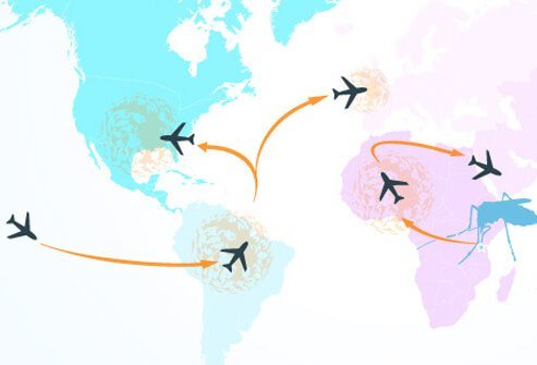 Zika virus spreads to the U.S. and around the globe.