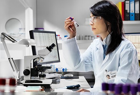 Preparations for the first human trials of a Zika vaccine are under way.