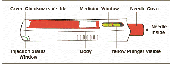 Parts of your ZINBRYTA Pen  - Illustration