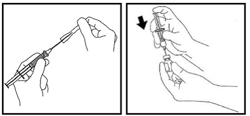 Remove the needle cap from the syringe and insert the needle into the center of the rubber stopper on the growth hormone vial - Illustration