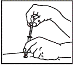 Holding the syringe in place, pull back a little on the plunger and check to see if any blood flows into the syringe - Illustration