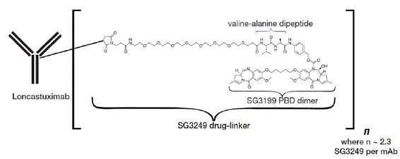 ZYNLONTA™ (loncastuximab tesirine-lpyl) Structural Formula - Illustration