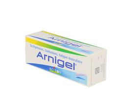 Arnigel, gel, étui de 1 tube de 45 g