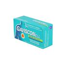 Gavisconell menthe s/s